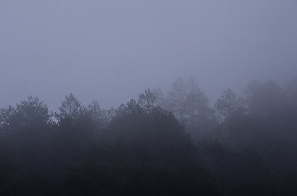 The Dark Side of&nbsp;Travel