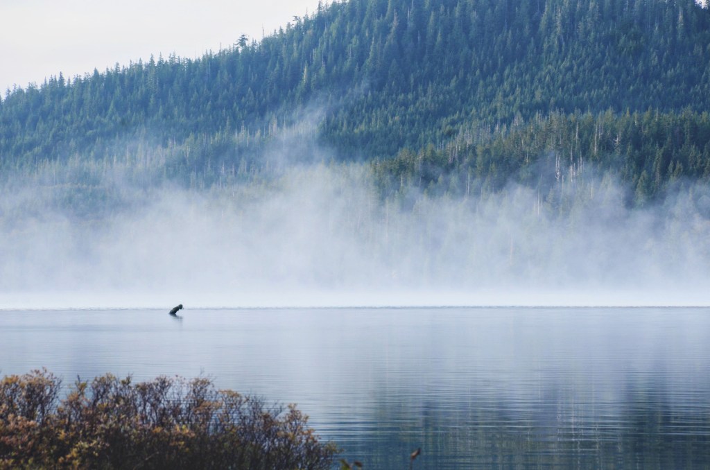 An Intro to Canadian Car&nbsp;Camping