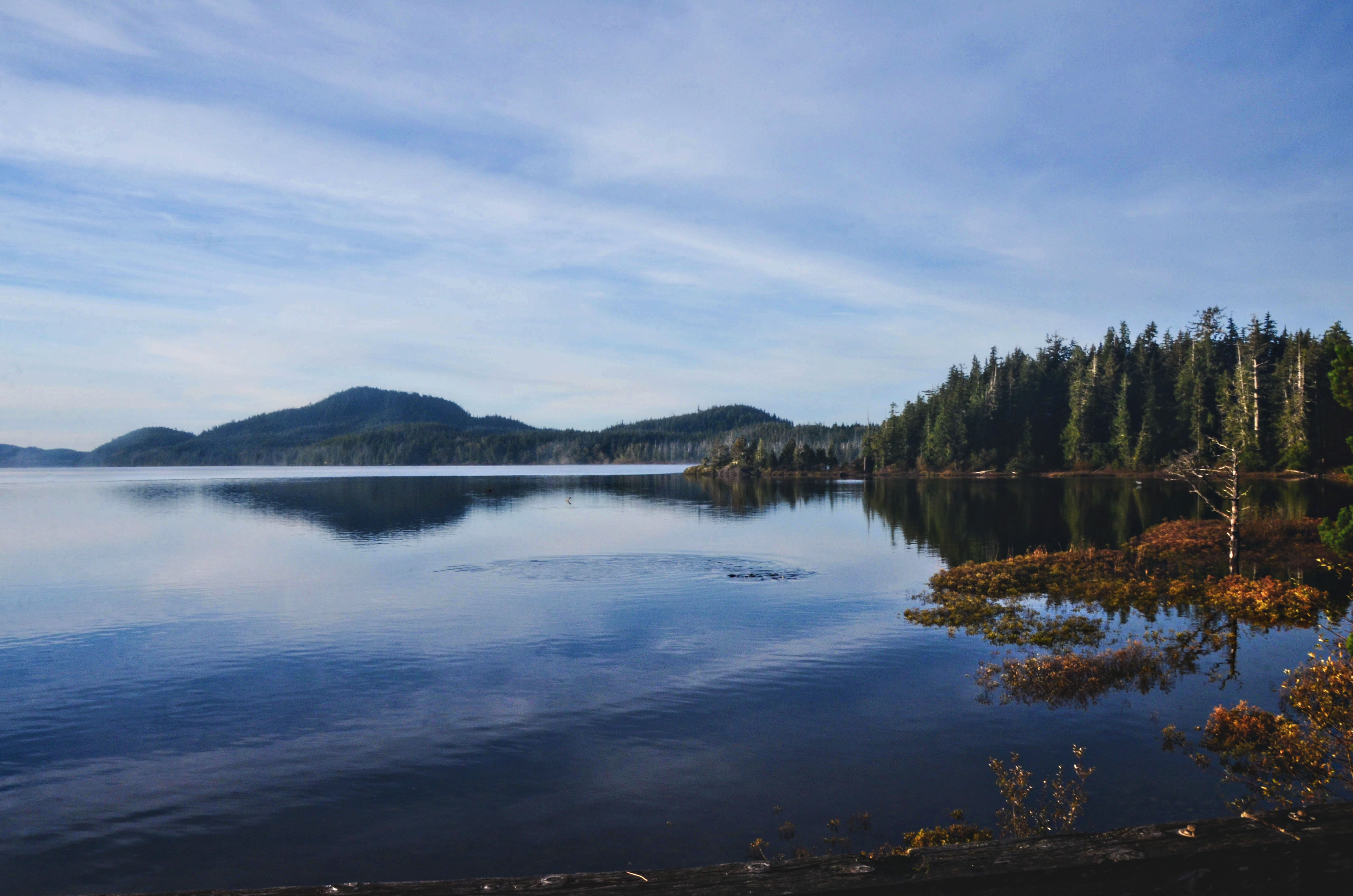 lake kennedy vancouver island sunrise 3