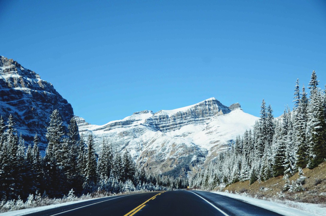 Alberta Canada roadtrip 