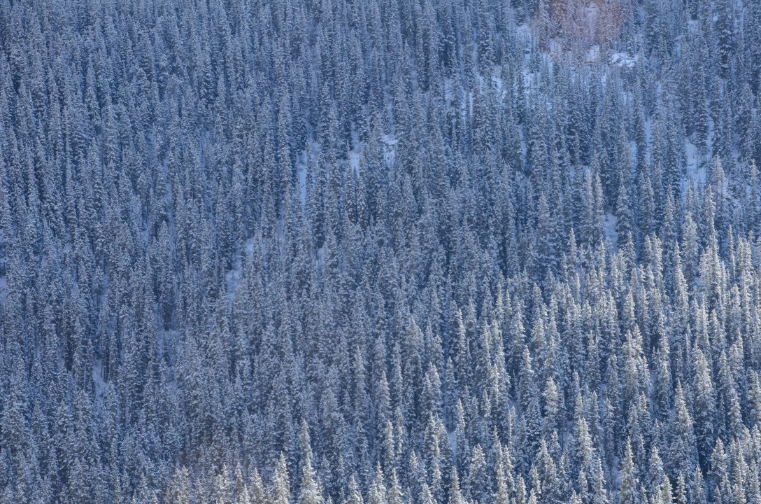 Alberta Canada roadtrip Jasper 2