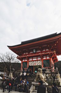 kyoto7
