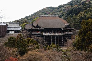 kyoto15