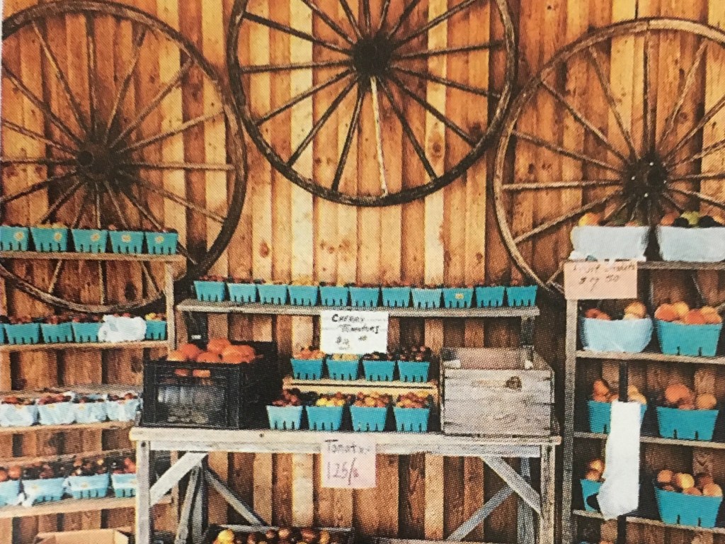 I got published on Lonely Planet&nbsp;Traveller!