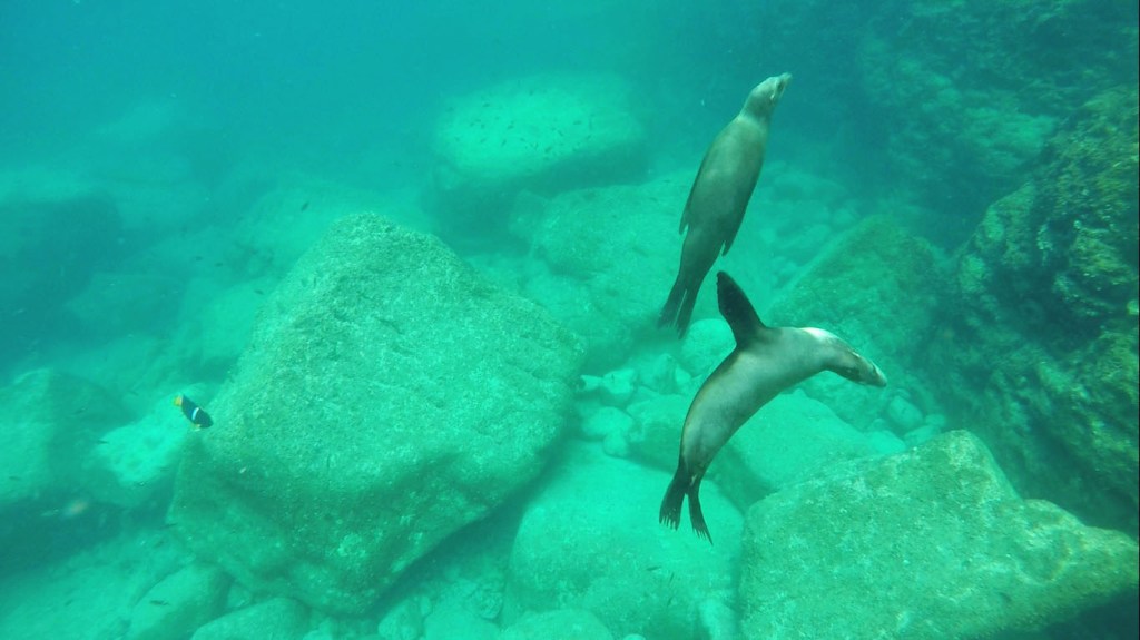 isla-espiritu-santo-1