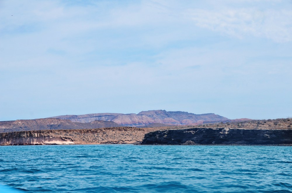 mexico-lapaz-revillagigedo-4