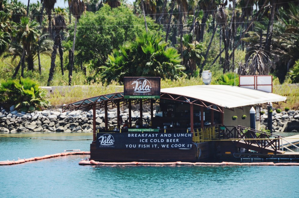 mexico-lapaz-revillagigedo-42