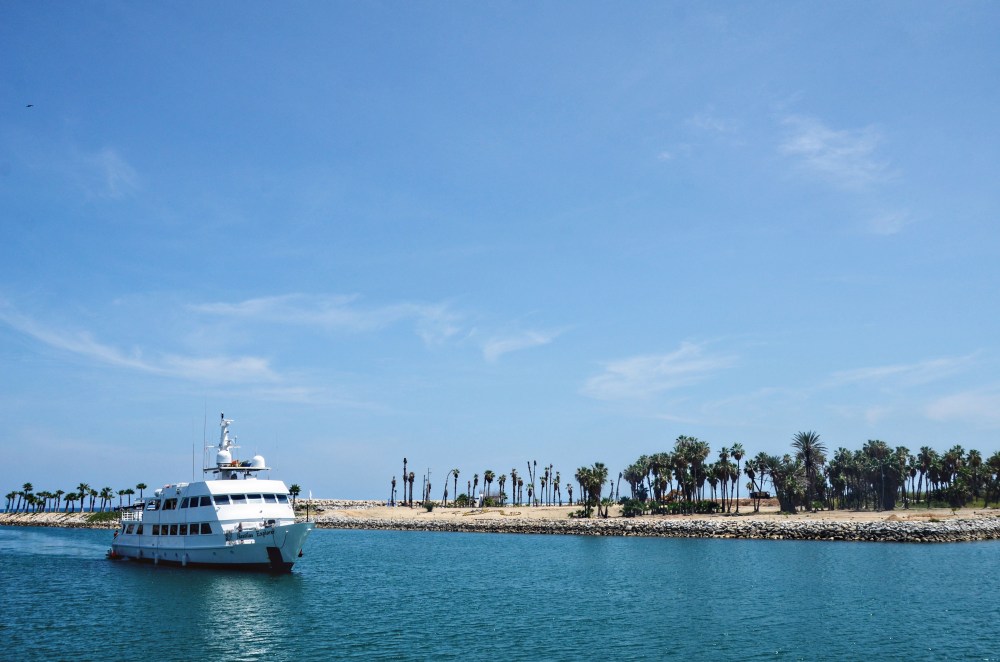 mexico-lapaz-revillagigedo-44