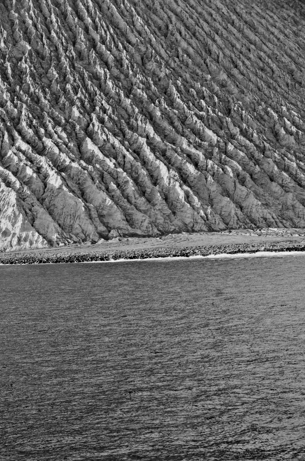 mexico-lapaz-revillagigedo-52