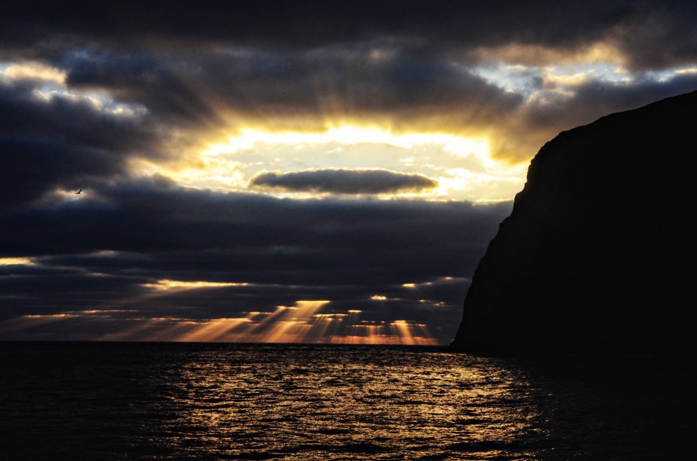 mexico-lapaz-revillagigedo-53