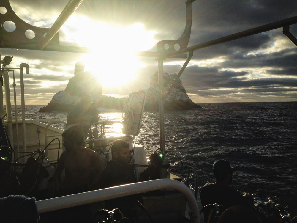 mexico-lapaz-revillagigedo-54