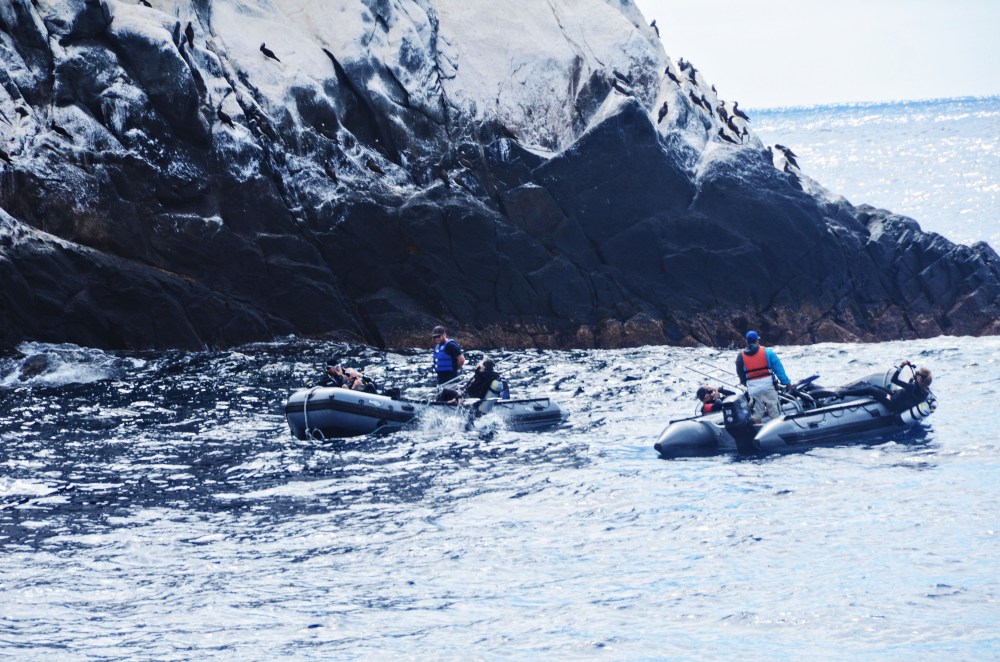 mexico-lapaz-revillagigedo-55