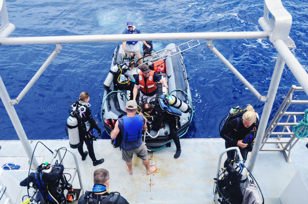 mexico-lapaz-revillagigedo-56