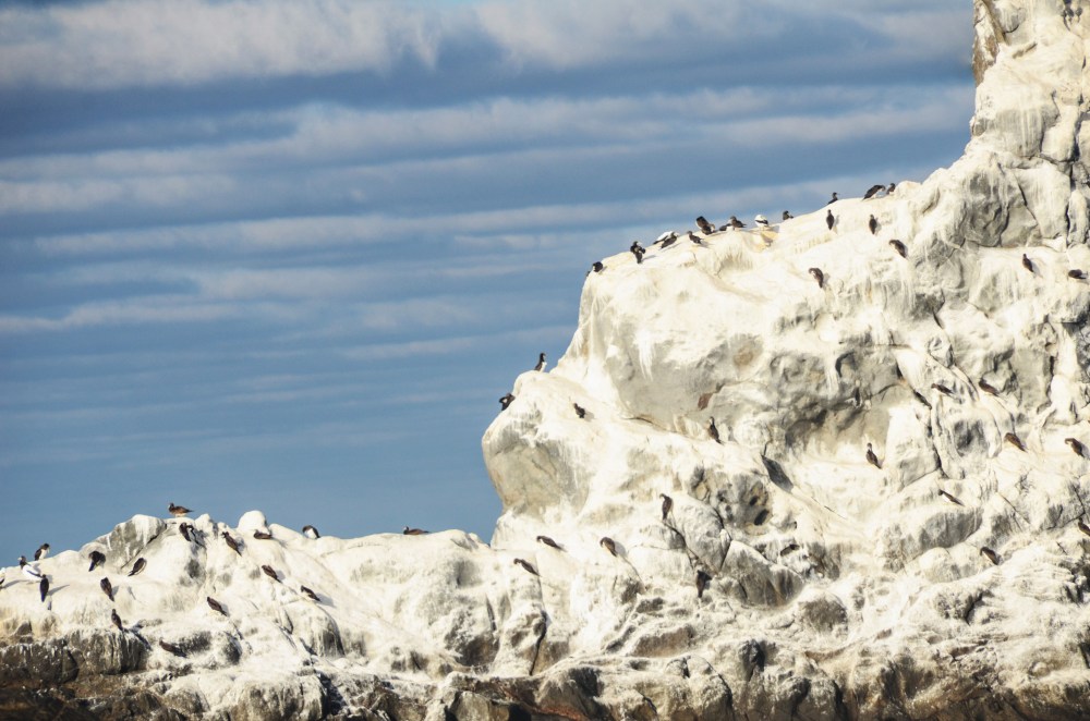 mexico-lapaz-revillagigedo-58