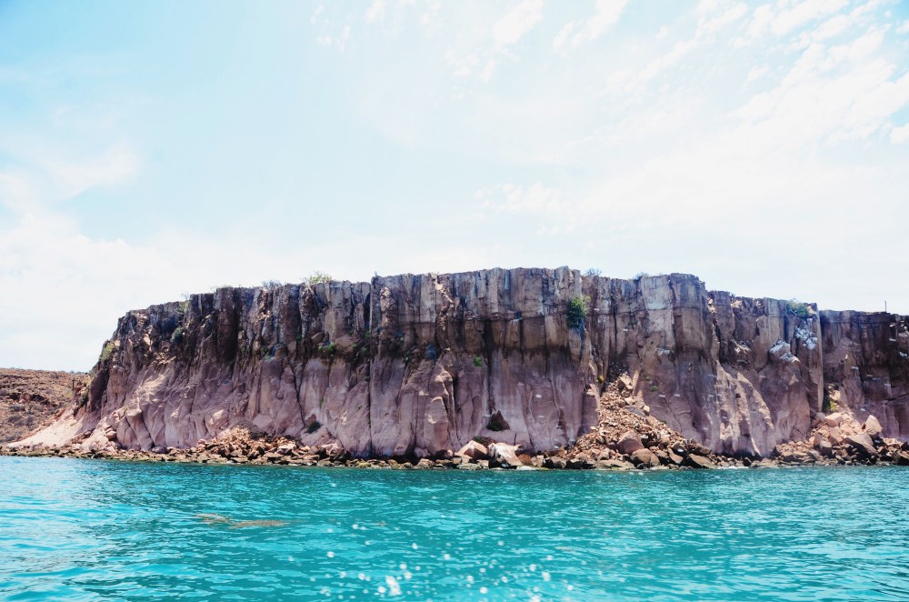 mexico-lapaz-revillagigedo-6