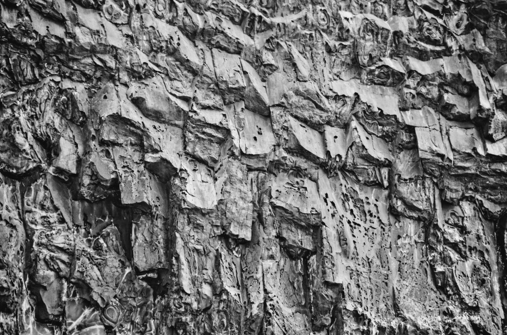 mexico-lapaz-revillagigedo-61